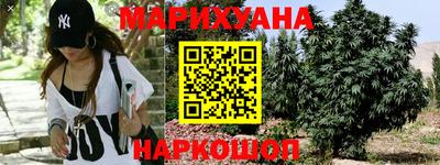 ПСИЛОЦИБИНОВЫЕ ГРИБЫ Нальчик