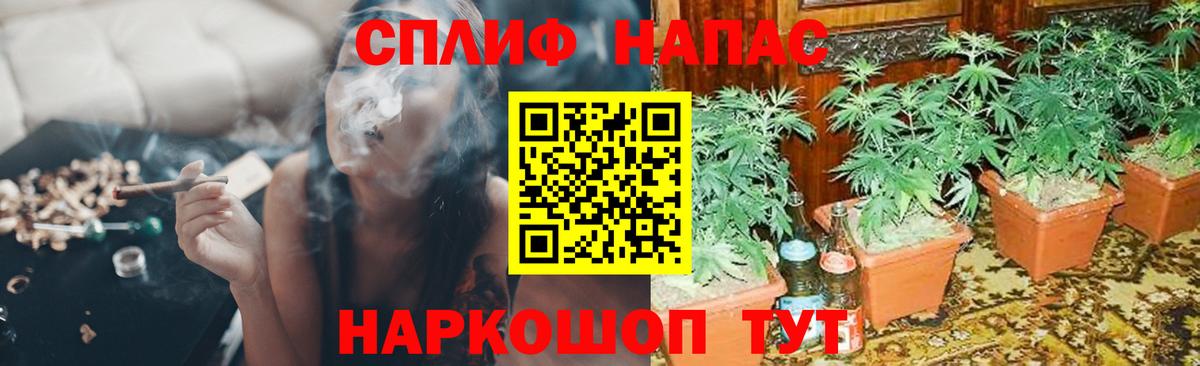 Тобольск  МАРИХУАНА AK-47  Бошки марихуана Ganja  Вход с VPN  МАРИХУАНА Bruce Banner 